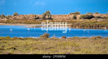 Ornithologischer Aussichtspunkt Las Salinas, Salinas de Cabo de Gata, Feuchtgebiet Ramsar, Naturpark Cabo de Gata-Níjar, UNESCO-Biosphärenreservat, Hot des Stockfoto