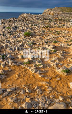 Felsküste, Felsen von Pría, Karstformation, Bufones de Pría, geschützte Landschaft der Orientalküste von Asturien, Llames de Pría, Asturien, Spanien, EU Stockfoto