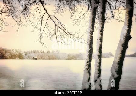 ZEITGENÖSSISCHE FOTOGRAFIE: Winter Meadow von Edmund Nagele FRPS Stockfoto