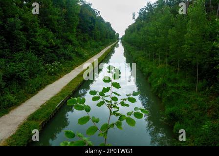 Sevran-Livry, Frankreich, malerischer Blick auf Canal de l'Ourcq, seine Saint Denis, Parc de la Poudrerie » Urban Park Stockfoto