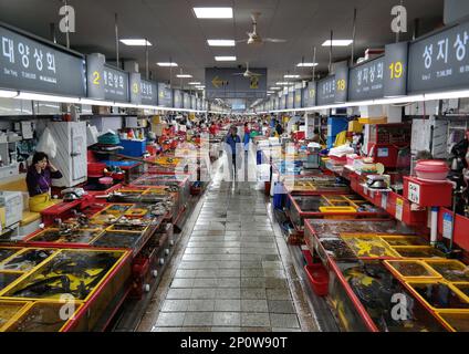 Busan, Südkorea - Mai 2019: Verkäufer, die Meeresfrüchte auf dem Jagalchi-Fischmarkt verkaufen Stockfoto