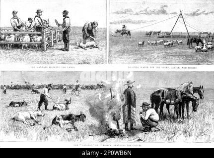 "Skizzen des Lebens auf einer Estancia in der argentinischen Republik; Arbeit auf den Pampas", 1891. Aus „The Graphic. An Illustrated Weekly Newspaper“, Band 44. Juli bis Dezember 1891. Stockfoto