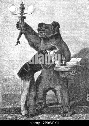 „Die Bärentrophäe im Marlborough House; der Bär wurde in Russland von H.R.H. erschossen Der des Prinzen von Wales, 1891. Aus „The Graphic. An Illustrated Weekly Newspaper“, Band 44. Juli bis Dezember 1891. Stockfoto