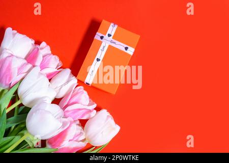 Zarte pinkfarbene und weiße Tulpen mit einer Geschenkbox und einem Liebesband auf rotem Hintergrund. Speicherplatz kopieren. Muttertagskonzept, valentinstag. Hochwertiges Foto Stockfoto