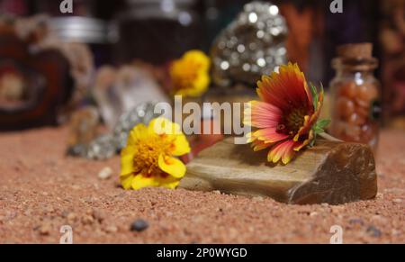 Gelbe Blumen mit versteinertem Holz und Kristallen auf dem australischen roten Sand Stockfoto