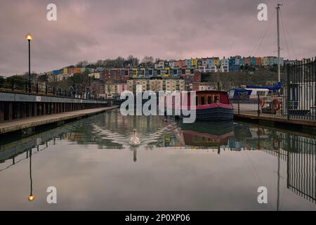 Sonnenaufgang in Bristol Marina, Somerset, mit den bunten Häusern im Hintergrund und einem Schwan schwimmen Stockfoto