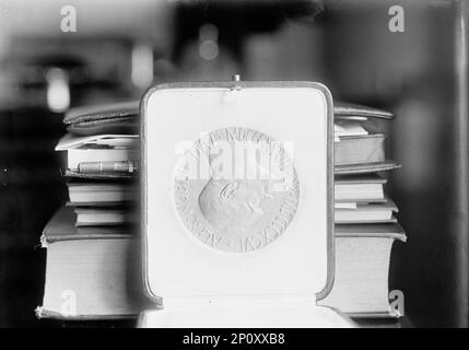 Friedensnobelpreis - Die Medaille 1913. Lateinische Aufschrift: "ALFR NOBEL NAT MDCCCXXXIII - ob MDCCCXCVI" - Alfred Nobel - geboren 1833 - verstorben 1896. Stockfoto