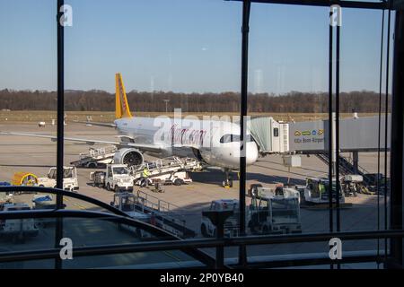 Pegasus Flugzeug am Flughafen Köln/Bonn. Kredit: Sinai Noor / Alamy Stock Photo Stockfoto