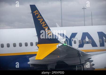 Ryan Air am Flughafen Stansted. Kredit: Sinai Noor / Alamy Stock Photo Stockfoto