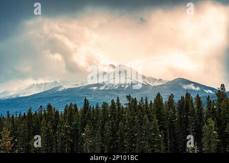 Rocky Mountains mit Sonnenlicht im Kiefernwald im Nationalpark Stockfoto