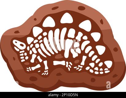 Stegosaurus Fossils Skelett. Stegosaurus-Fossilienknochen. Dinosaurierskelett. Dinosaurierknochen mit Schädel. Paläontologie und Archäologie. Stock Vektor