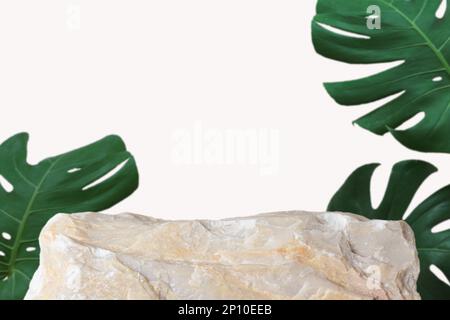 Stein Podium mit Monstera Tropenwaldpflanze verschwommen weiß isoliert background.Organic Schönheit gesundes Produkt präsentieren natürliche Platzierung Sockel d Stockfoto