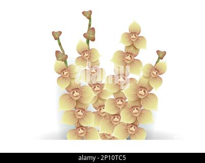 Vier Stiele mit kleinen Orchideenblüten und Knospen, die aus dem Boden hervorgehen. Design im Verlaufseffekt auf weißem Hintergrund. Stock Vektor