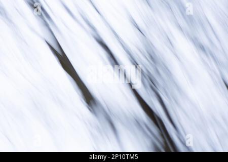 Leerer schwarzer und hellweißer, verschwommener Hintergrund. Silberne, schwarze und weiße Bokeh-Lichter mit Unschärfe-Effekt. Stockfoto