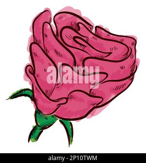 Handgemalte Rose mit Rosehip, Sepal und Stiel mit Aquarelleffekt. Stock Vektor