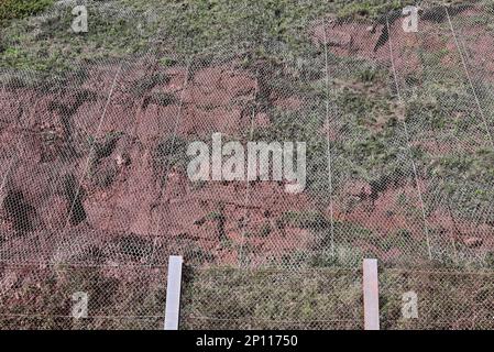 Schutz der Eisenbahn in Teignmouth vor Klippenfällen durch Drahtnetze, die an der Klippe über dem Fangzaun angeschraubt sind. Stockfoto