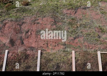 Schutz der Eisenbahn in Teignmouth vor Klippenfällen durch Drahtnetze, die an der Klippe über dem Fangzaun angeschraubt sind. Stockfoto