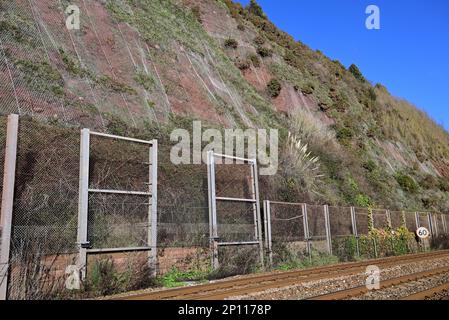 Schutz der Eisenbahn in Teignmouth vor Klippenfällen durch Drahtnetze, die an der Klippe über dem Fangzaun angeschraubt sind. Stockfoto