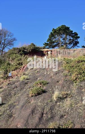 Schutz der Eisenbahn in Teignmouth vor Klippenfällen durch Drahtnetze, die an der Klippe über dem Fangzaun angeschraubt sind. Stockfoto