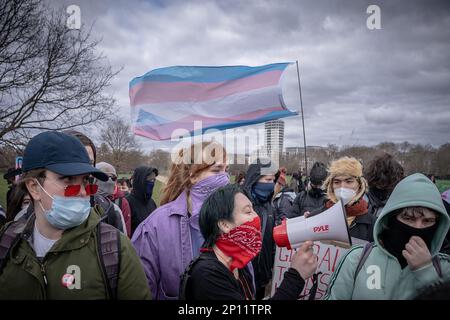 Transgender Rights-Aktivisten bekämpfen Proteste und kämpfen mit dem Rang für Frauen Feministinnen in der Nähe des Reformers' Tree in Hyde Park, London, Großbritannien. Stockfoto