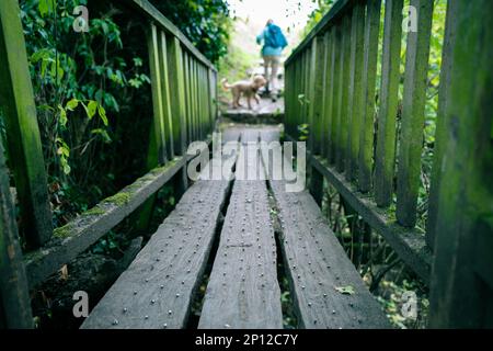 Blick auf die Oberfläche eines Flusses in einem berühmten Naturschutzgebiet mit Metallspießen. Eine Frau und ihr Hund haben gerade die Brücke überquert. Stockfoto