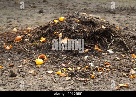 Kompost-Behälter. Unschärfe-Kompost und kompostierter Bodenzyklus als Kompostierhaufen verrottender Küchenabfälle mit Obst und Gemüse. Müllabfuhr Stockfoto