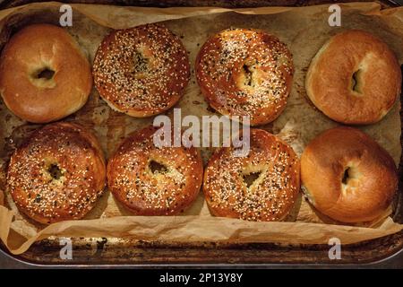 Vollformathintergrund mit frisch gebackenen Bagels auf Backpapier. Frische und knusprige Bagels mit Sesamsamen. Jüdisches Speisekonzept. Stockfoto