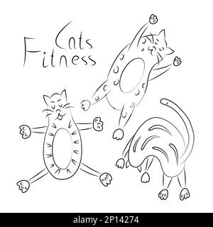 Sammlung einfacher linearer Illustrationen mit verspielten Katzen. Fitness, Sport, Yoga für eine Katze. Symbolgruppe für Linien. Cooles Logo für Tierklinik, Tierhandlung Stock Vektor