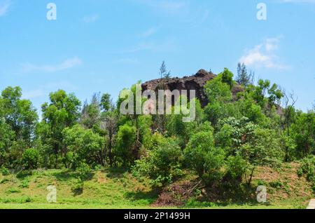 Großer Felsbrocken inmitten von Bäumen Stockfoto
