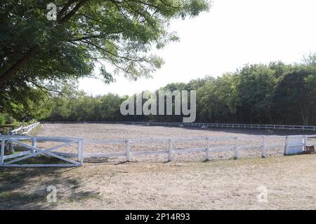 Wunderschönes Foto eines leeren Reitplatzes für das Pferdetraining. Reitunterricht Stockfoto