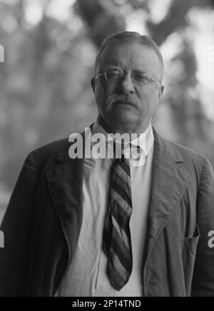 Roosevelt, Theodore, Porträtfoto, 1916. September 8. Stockfoto