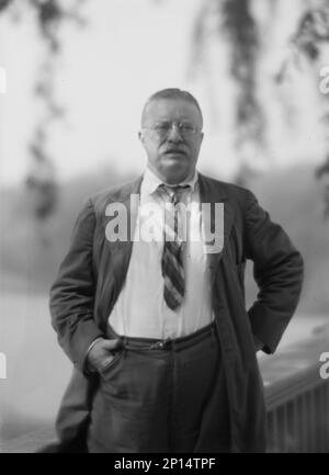 Roosevelt, Theodore, Porträtfoto, 1916. September 8. Stockfoto