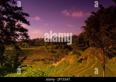Blick auf die Terrassenlandschaft in Trawas, Mojokerto, Indonesien. Stockfoto