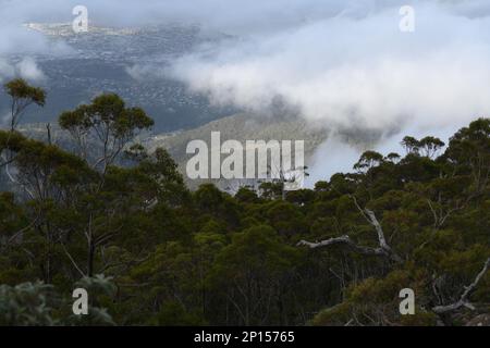 Über den Wolken auf Mount Wellington mit Blick auf den Wald und die Stadt Hobart im Tal darunter Stockfoto