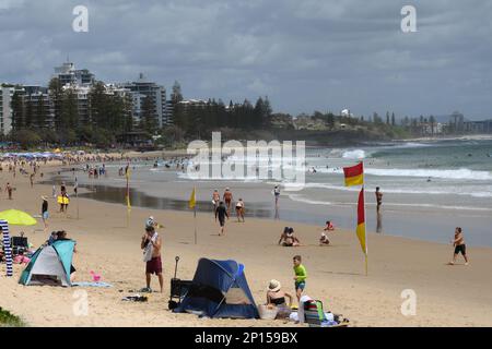 Der Strand in Mooloolaba. Schwimmer und Sonnenanbeter genießen den Sand und die Wellen. Stockfoto