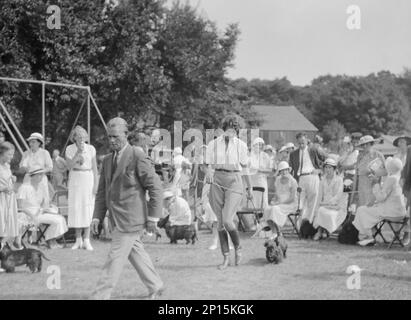 Hundeshow, East Hampton, Long Island, zwischen 1933 Uhr und 1942 Uhr. Stockfoto