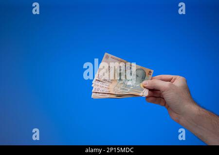 Von Männern gehaltene rumänische Lei-Banknoten. Nahaufnahme des Studios, isoliert auf blauem Hintergrund. Stockfoto