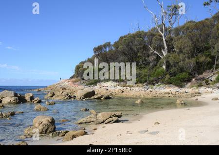 Unberührte Küste und bewaldete Landstriche führen zu Stränden wie Skeleton Bay, Binalong, Tasmanien Stockfoto