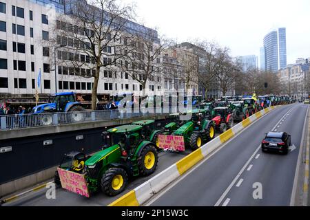 Brüssel, Belgien. 03. März 2023. Landwirte mit ihren Traktoren aus der nördlichen Region von Belgien nehmen am 3. März 2023 in Brüssel an einem Protest gegen einen neuen Plan der Regionalregierung zur Begrenzung der Stickstoffemissionen Teil. Kredit: ALEXANDROS MICHAILIDIS/Alamy Live News Stockfoto