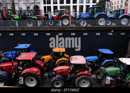 Brüssel, Belgien. 03. März 2023. Landwirte mit ihren Traktoren aus der nördlichen Region von Belgien nehmen am 3. März 2023 in Brüssel an einem Protest gegen einen neuen Plan der Regionalregierung zur Begrenzung der Stickstoffemissionen Teil. Kredit: ALEXANDROS MICHAILIDIS/Alamy Live News Stockfoto