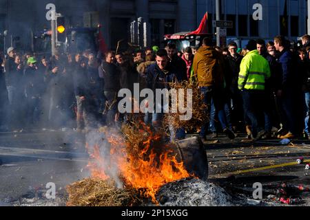 Brüssel, Belgien. 03. März 2023. Während eines Protests von Landwirten aus der nördlichen Region Flanderns gegen einen neuen Plan der Regionalregierung zur Begrenzung der Stickstoffemissionen in Brüssel, Belgien, am 3. März 2023 brennen Reifen. Kredit: ALEXANDROS MICHAILIDIS/Alamy Live News Stockfoto