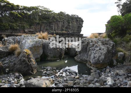 Fossilieninsel am südlichen Ende der Pirates Bay, Eagle Hawk Neck, wo alte Korallen, Schwämme und Gastropoden zu den fossilen Überresten gehören Stockfoto