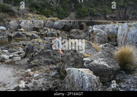 Fossilieninsel am südlichen Ende der Pirates Bay, Eagle Hawk Neck, wo alte Korallen, Schwämme und Gastropoden zu den fossilen Überresten gehören Stockfoto