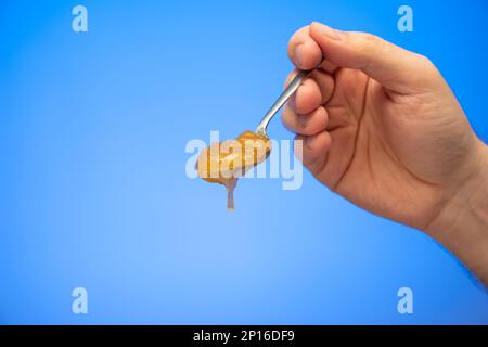 Kristallisierter Honig, der von einem Teelöffel in der Hand gehalten wird, der von einem männlichen weißen Studio isoliert auf blauem Hintergrund gedreht wurde. Stockfoto