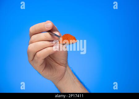 Ungarisches rotes Paprikapulver in Metall-Teelöffel von weißer männlicher Hand isoliert auf blauem Hintergrund Studioaufnahme. Stockfoto