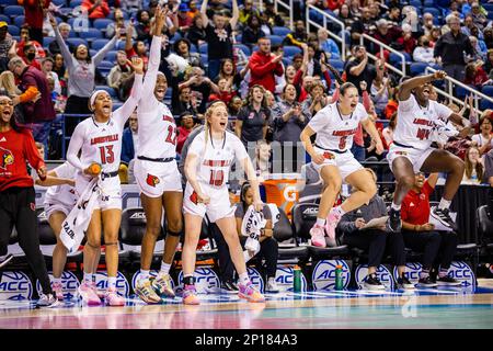 Greensboro, NC, USA. 3. März 2023. Die Bank der Louisville Cardinals feiert das Viertelfinale des ACC-Turniers für Frauen gegen die Wake Forest Demon Deacons im Greensboro Coliseum in Greensboro, NC. (Scott Kinser/Cal Sport Media). Kredit: csm/Alamy Live News Stockfoto