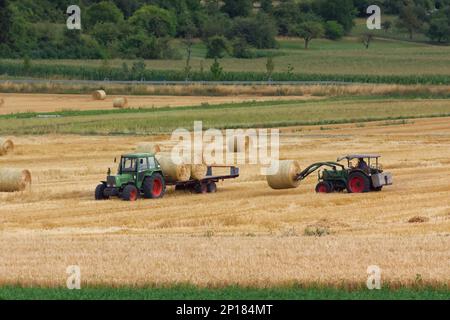 Traktor lädt nach der Ernte große Rundballen mit Stroh auf einen Anhänger auf einem Maisfeld Stockfoto