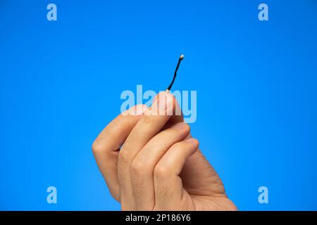 Verkohlte Streichholzschachtel in der Hand eines weißen männlichen Handstudios, isoliert auf Blau. Stockfoto