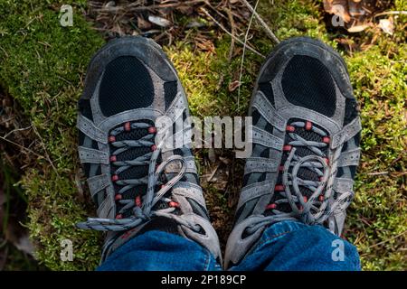 Männliche Wanderschuhe stehen tagsüber auf moosem Boden mit Blick auf den Wald. Stockfoto