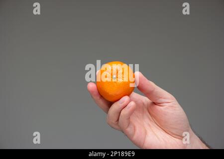 Single aus frischer roher MandarinenClementine in der Hand gehalten von weißem Mann isoliert auf grauem Hintergrund-Studio-Aufnahme. Stockfoto